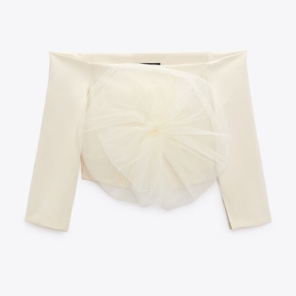 Zara cropped floral tulle top
